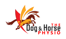 staging.doghorsephysio.ca
